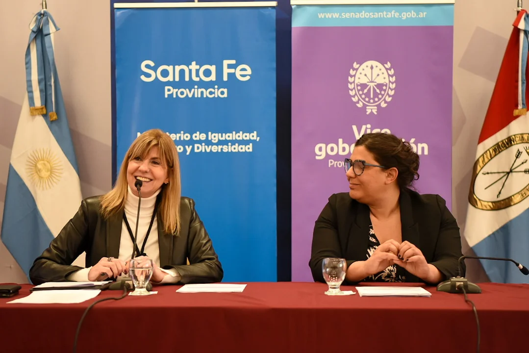 Rodenas impulsa la capacitación Ley Micaela para Colegios Profesionales de Santa Fe