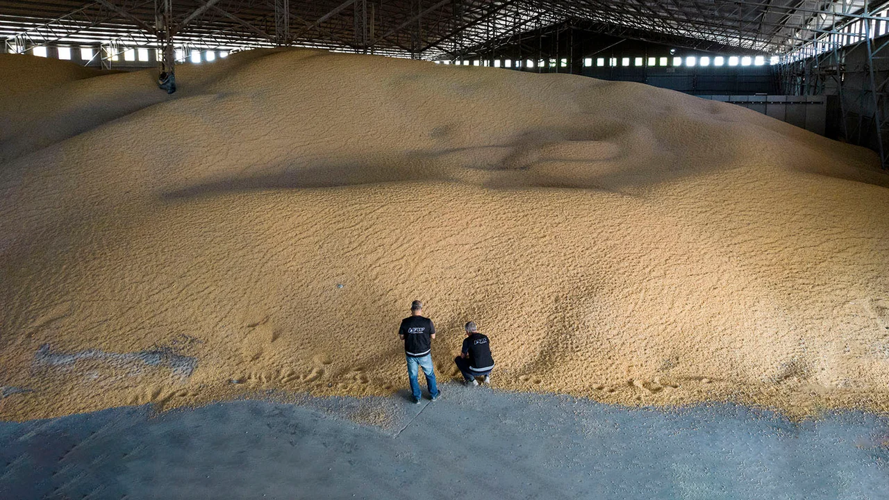 Aceiteras y cerealeras advirtien que las medidas de Trump desatarán una "guerra comercial"