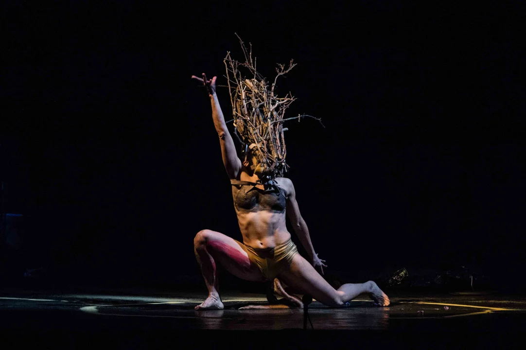 Doblete de festivales internacionales danzados, con El Cruce y Cuerpo Mediado