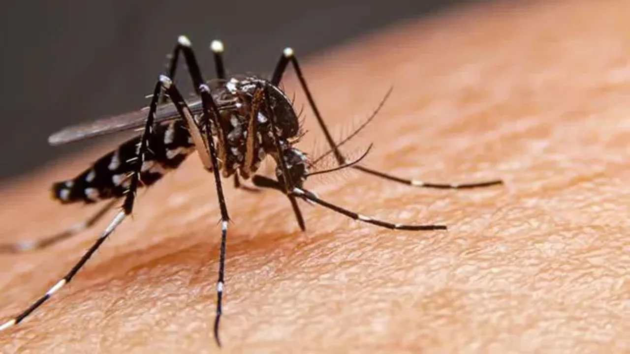 Confirmaron otra muerte por Dengue en Santa Fe