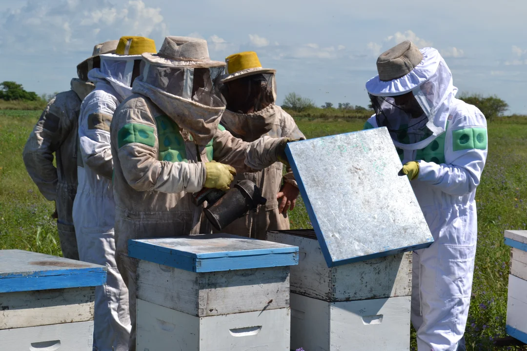 La emergencia agropecuaria también incluirá al sector apícola