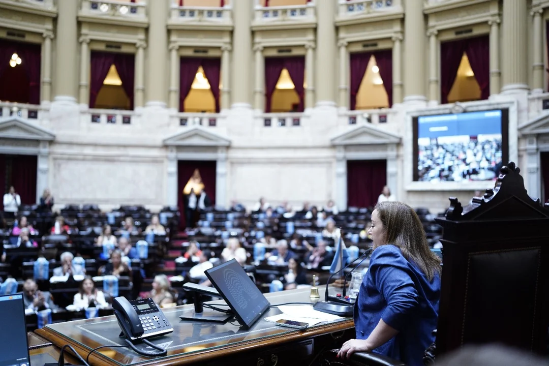 “Es llamativo que la oposición no quiera debatir temas urgentes como moratoria previsional, monotech y Universidades”