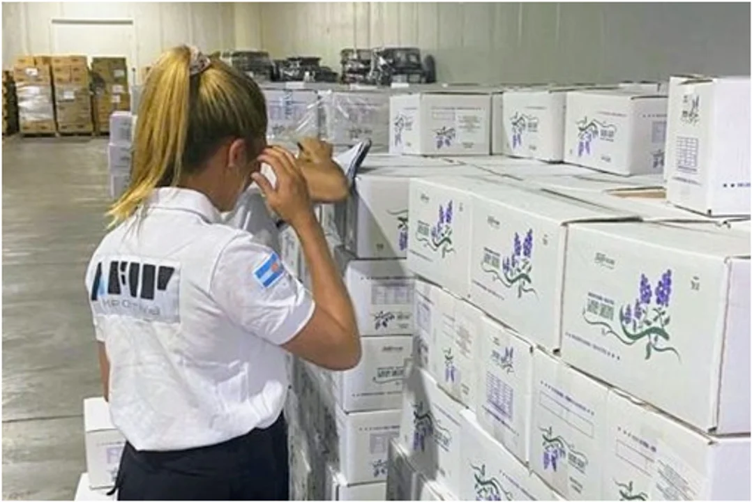 Detectaron intento de exportación fraudulenta por 80 millones de pesos en Alvear