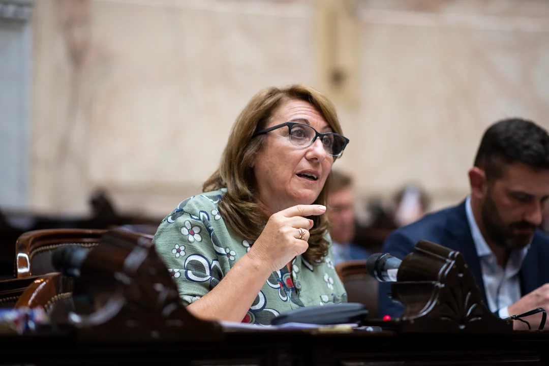 La socialista Mónica Fein, presidenta de la comisión de Salud de la Cámara de Diputados de la Nación.