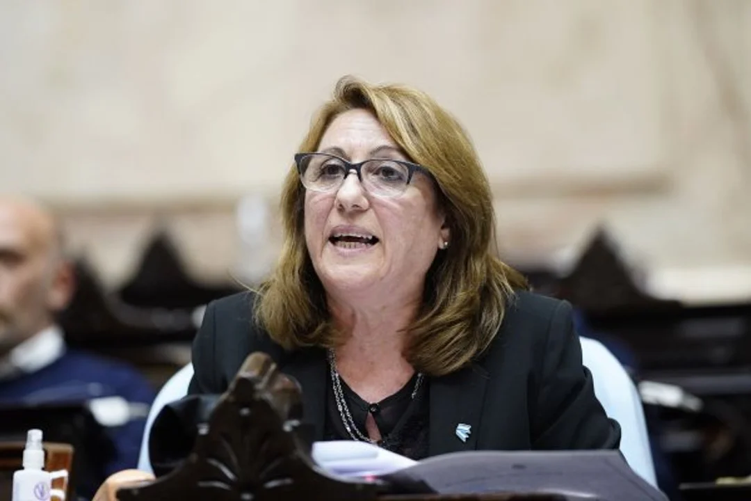 El Partido Socialista repudió los dichos de Milei y amenazó con iniciar acciones legales