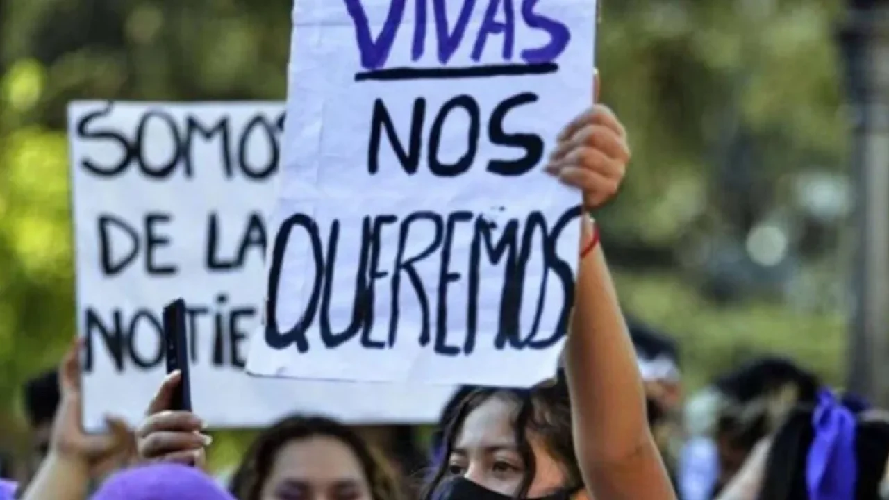 Santa Fe la segunda provincia con más víctimas por violencia de Género