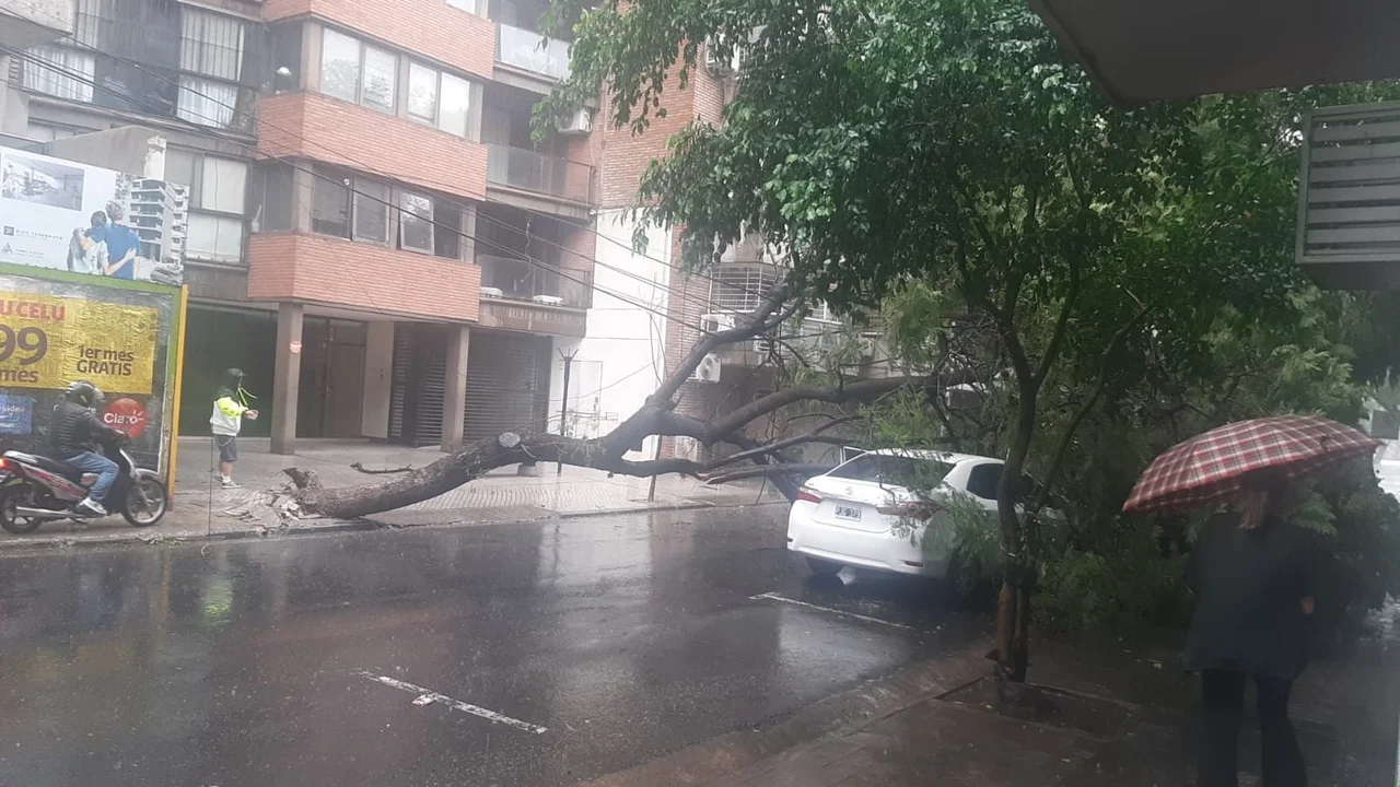 Urquiza y Moreno