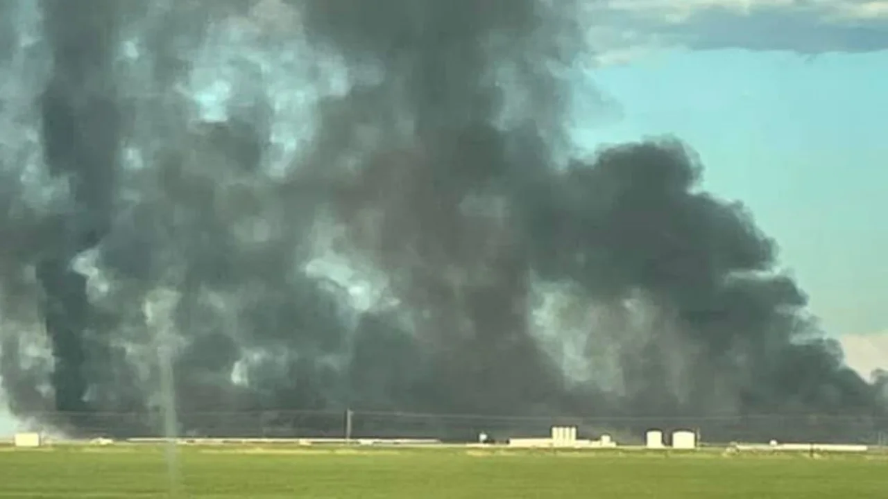 Misterio en Estados Unidos: murieron 18.000 vacas tras explosión en una granja