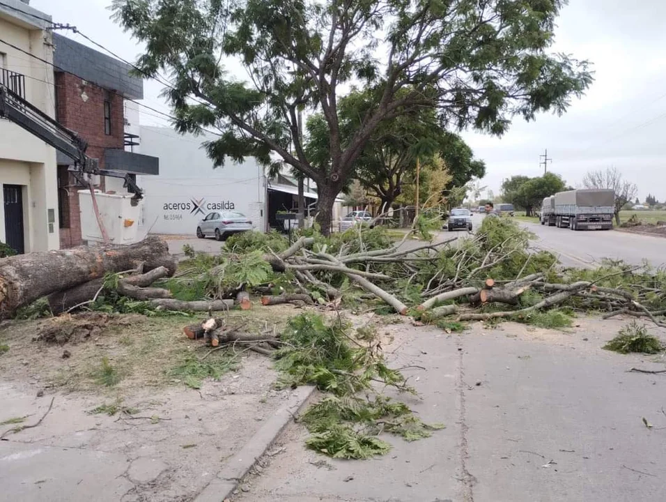 Mantenimiento de la ciudad después de los fuertes vientos