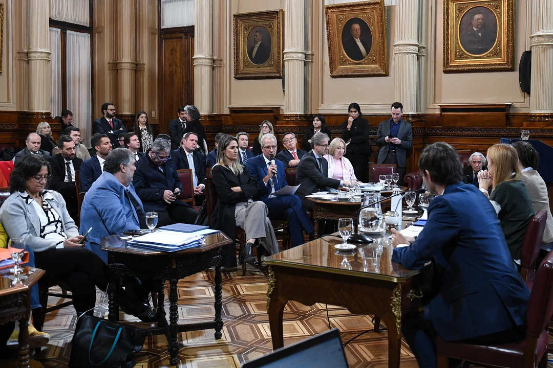 “No se haga la estrella”: fuerte cruce entre Mayans y Losada en el Senado