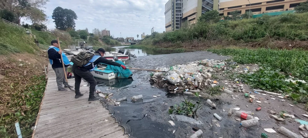Foto: Secretaría de Ambiente y Espacio Púbico