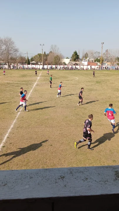 Se terminó la fase regular, ya se conoce qué equipos siguen en competencia 