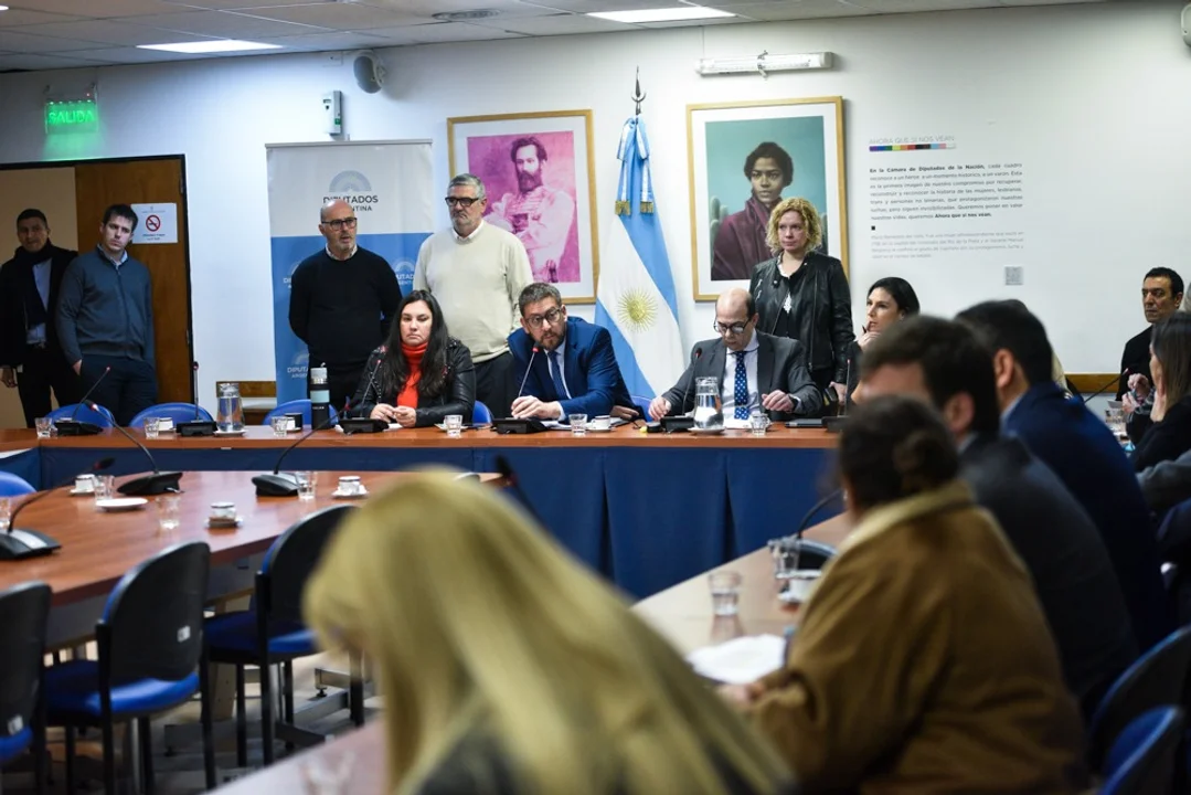 Autorizan a Ia Jueza Capuchetti a investigar el celular del Diputado Milman