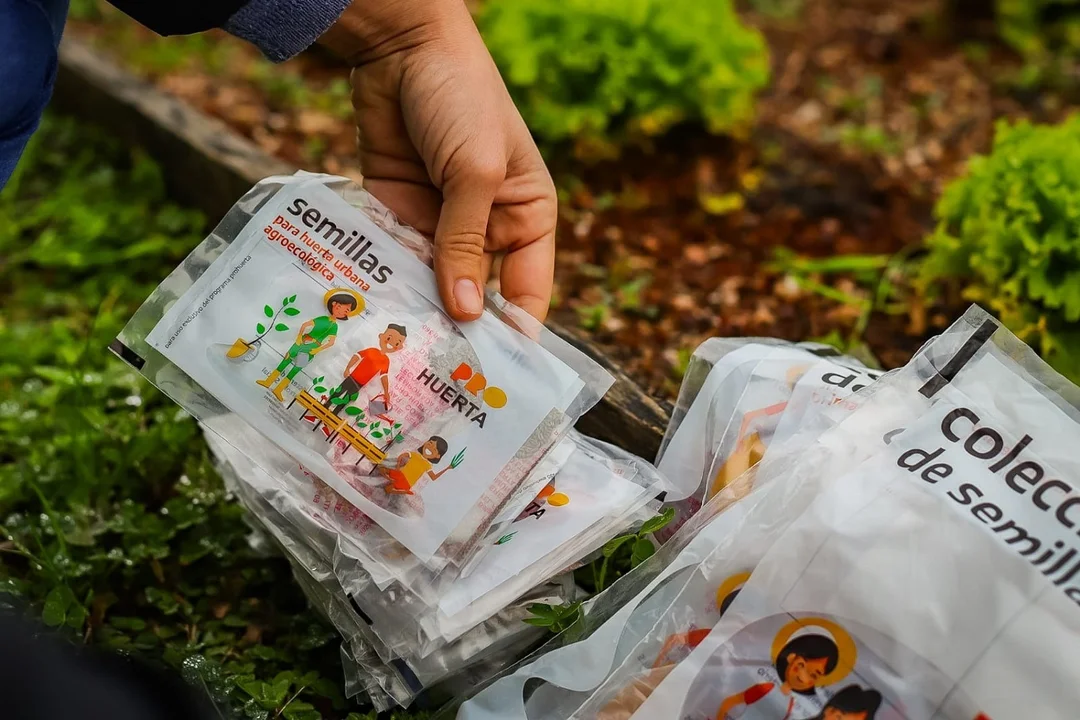 INTA inicia la entrega de kits de semillas del Programa ProHuerta