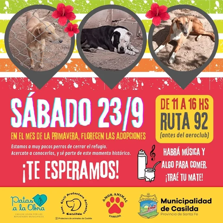 Se realizará una jornada especial en el refugio de Casilda