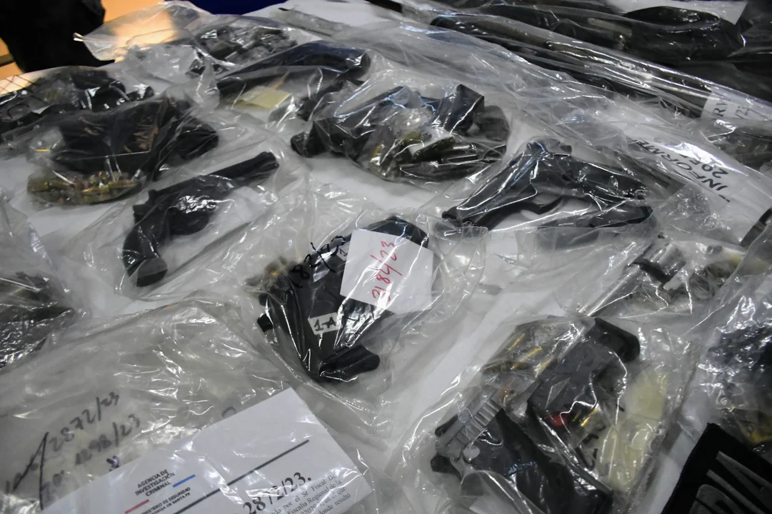 Brilloni mostró 40 armas secuestradas por la policía en procedimientos recientes