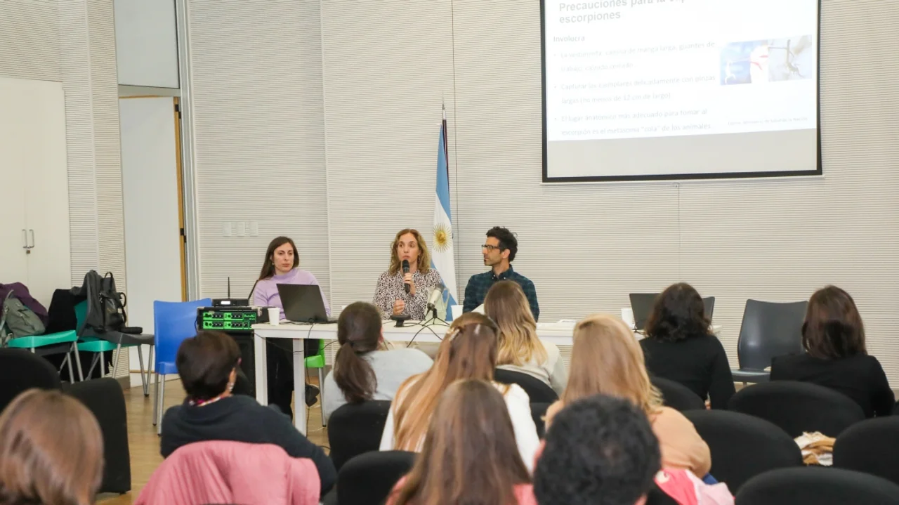 Nueva guía de atención para casos de picadura de alacrán