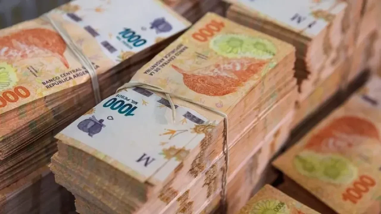 Se vienen los billetes de $10.000 y $20.000: ¿Prócer o animalitos?