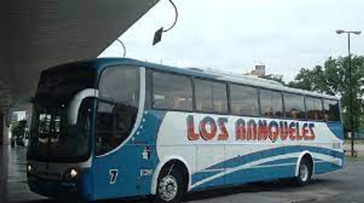 Transportes públicos adhieren al paro nacional
