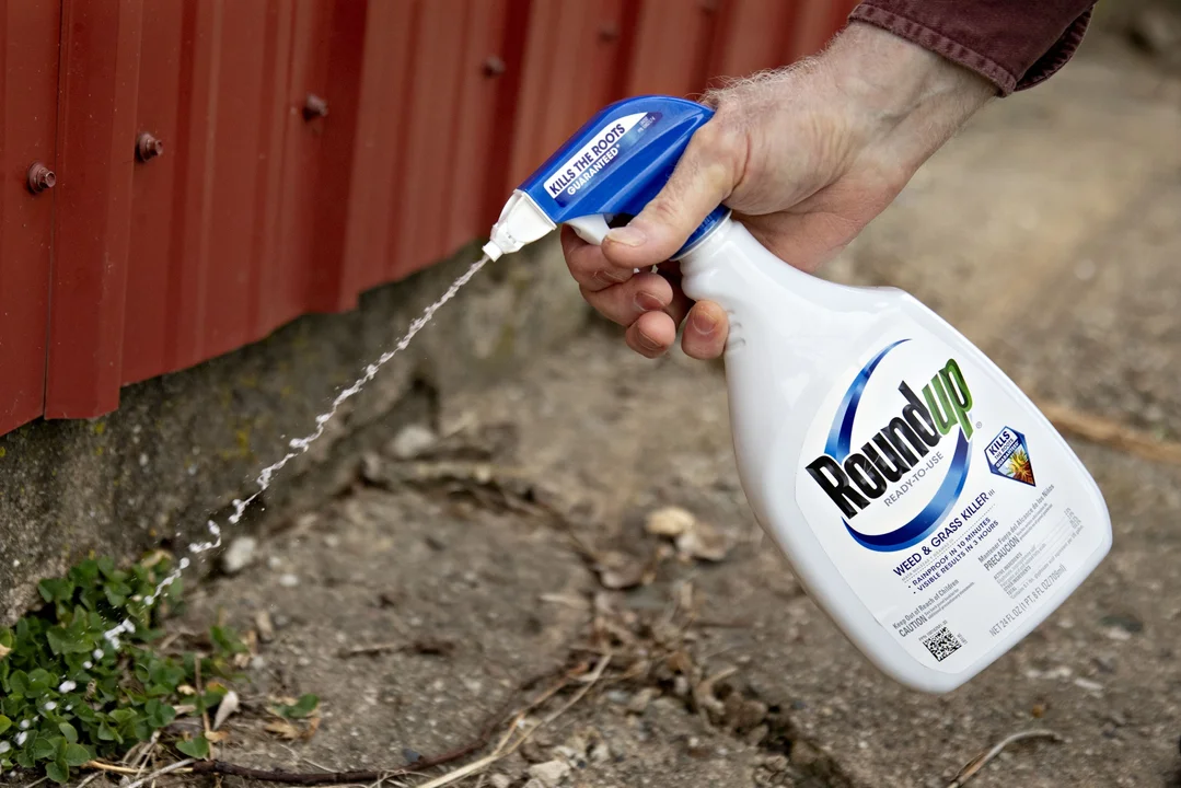 Bayer pagará dos mil millones de dólares por daños vinculados al Herbicida Roundup