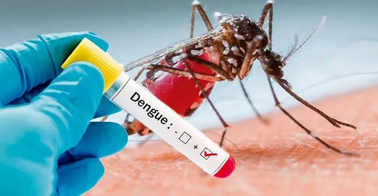 Nuevos casos de dengue en el sur de la provincia