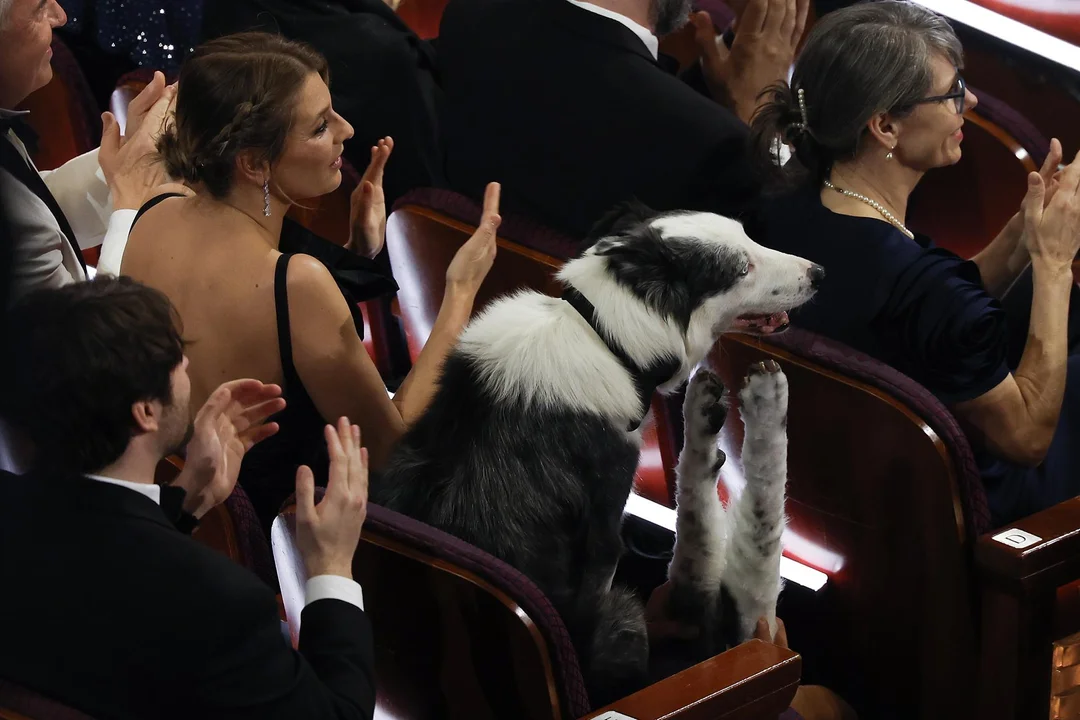 Messi con sus patitas fake para poder aplaudir en la gala de premiación. 