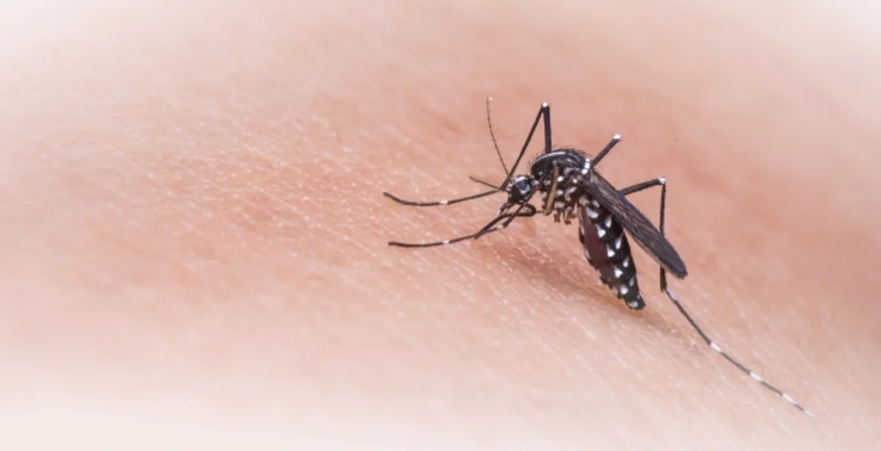 Circulación viral de dengue en Santa Fe: 25.709 casos confirmados