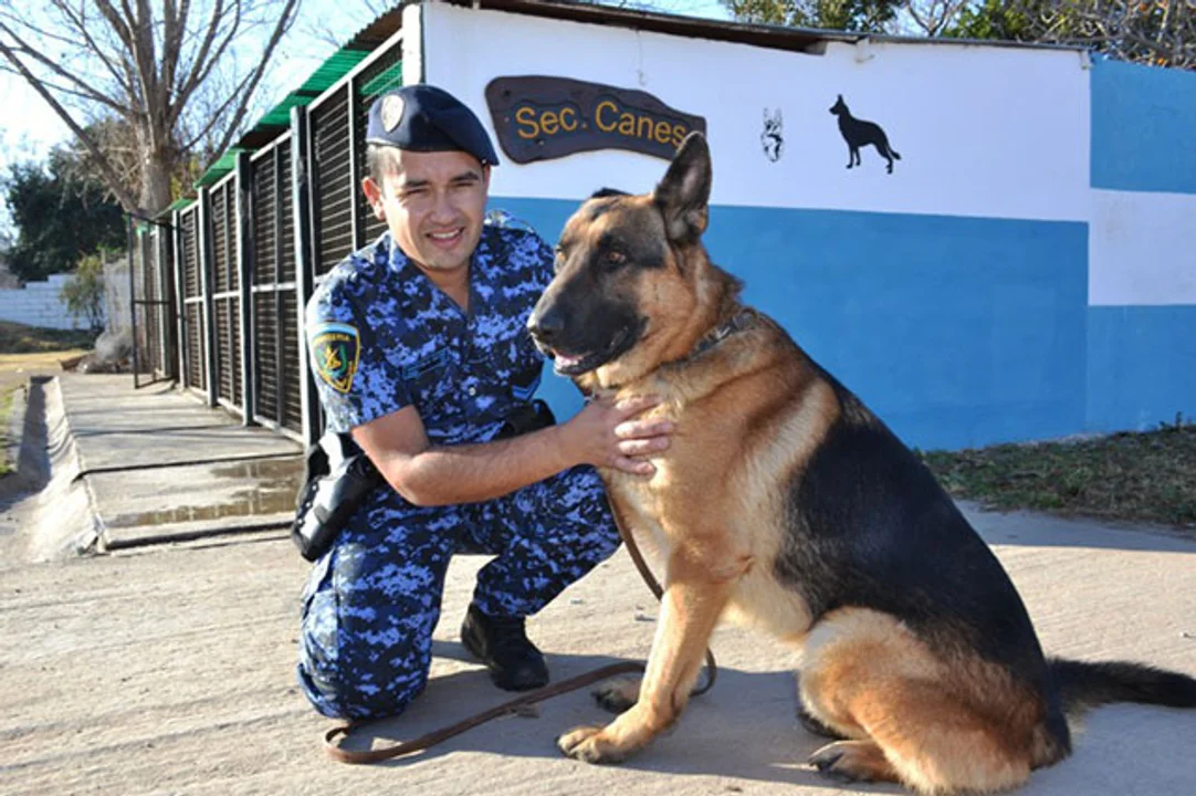 Se creó el Registro Nacional de Animales de Apoyo de las Fuerzas Policiales