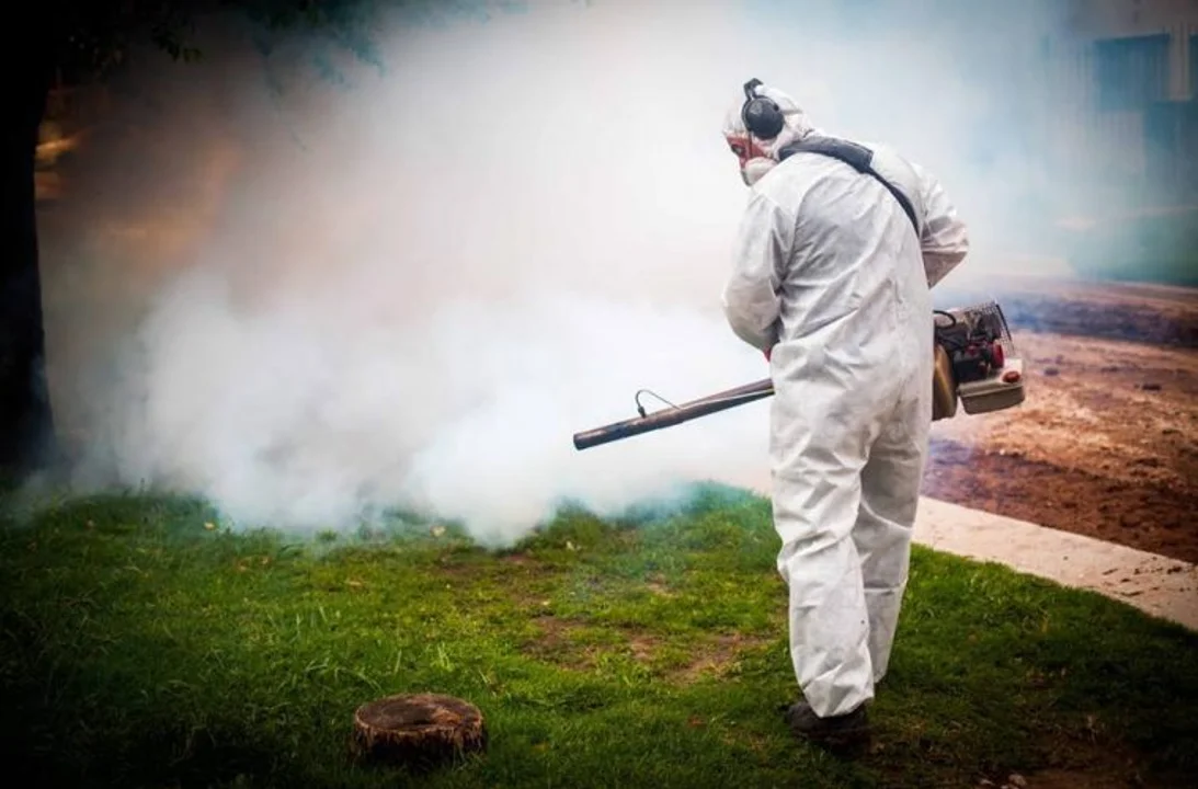 Dengue: tercera semana con descenso de la curva de casos