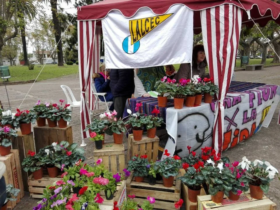 Lalcec y su tradicional venta de plantines para concientizar sobre el consumo de tabaco