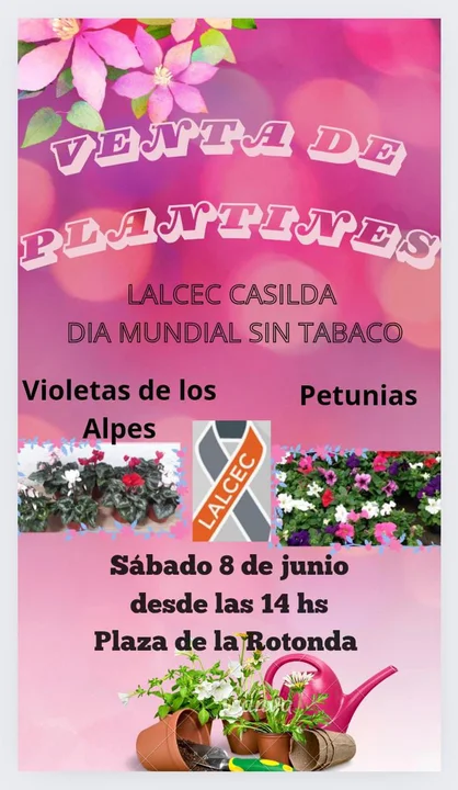 Lalcec y su tradicional venta de plantines para concientizar sobre el consumo de tabaco