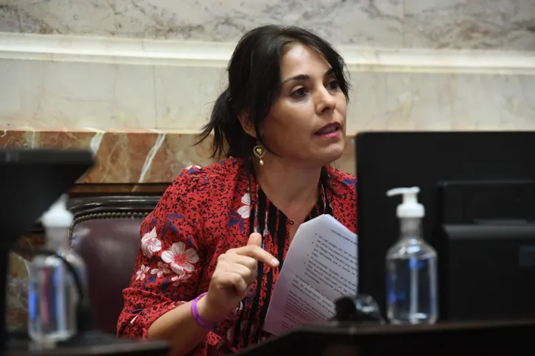 Denunciaron a la senadora Crexell por presuntas “dádivas”