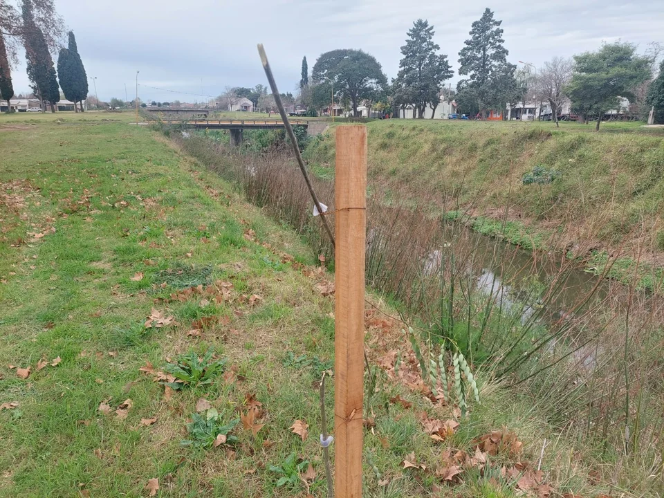 Dañaron algunos de los arboles que habían sido plantados en el Parque Municipal