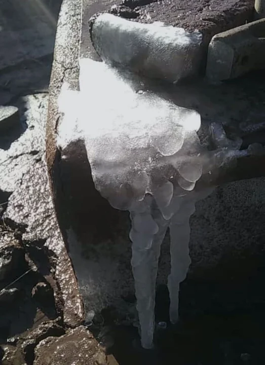 ¿Frío? Un gato caminó sobre el hielo