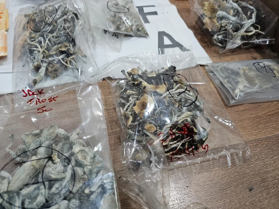 Operativo "Pastas al Funghi": tres detenidos por vender hongos y pastillas