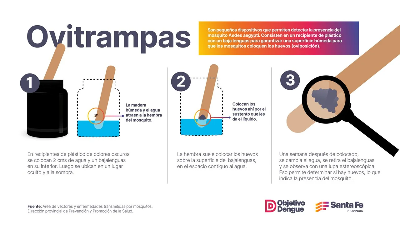 Colocan trampas para detectar huevos de mosquito y establecer alertas tempranas