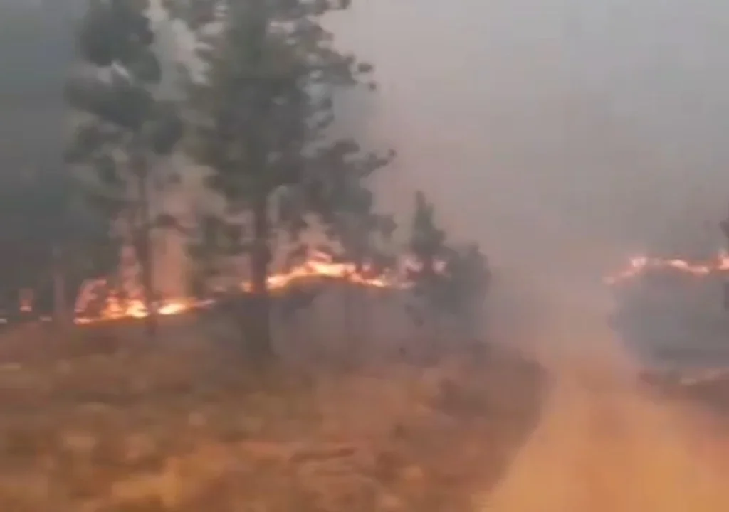 Un incendio se desató en Córdoba y el fuego ya alcanzó varias casas