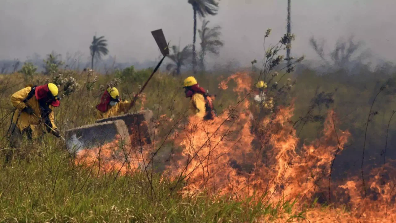 Santa Fe espera el humo de los incendios forestales de Bolivia