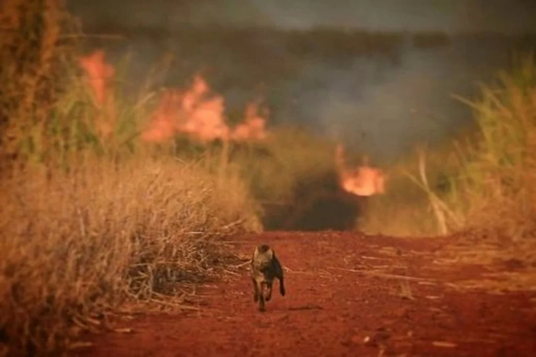 "El territorio habla", un podcast que busca exponer el impacto climático