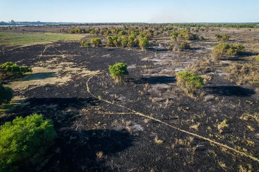 El aire contaminado por los incendios en la isla provoca daño genético