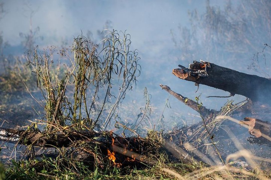 El aire contaminado por los incendios en la isla provoca daño genético