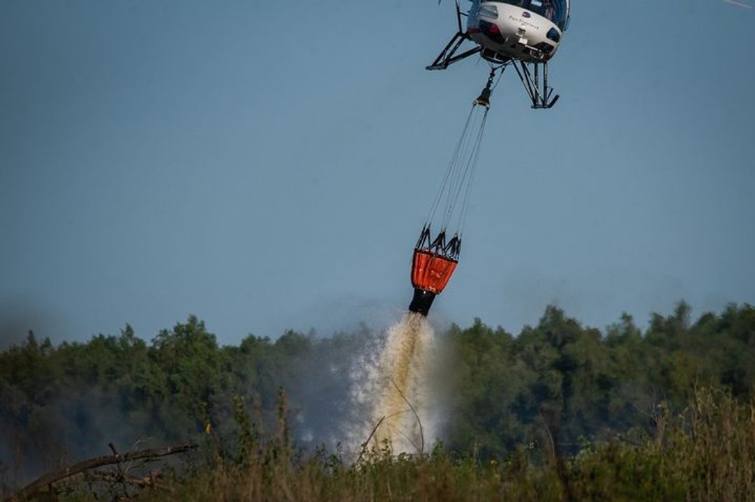 El aire contaminado por los incendios en la isla provoca daño genético