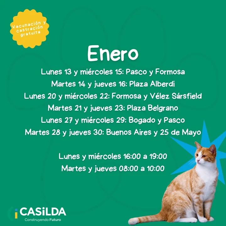 Consultá el calendario de vacunación y castración para el primer mes del año