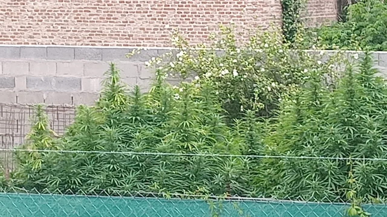 PDI detuvo a un hombre casildense involucrado en microtráfico
