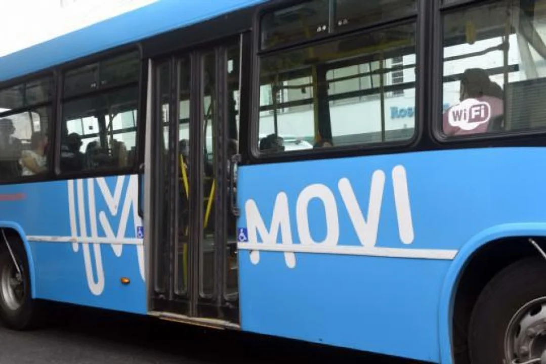 Elecciones: colectivos y bicis públicas, gratis todo el domingo