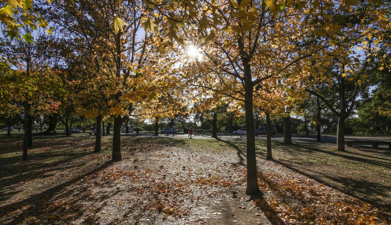Domingo otoñal en Rosario: sol, aire fresco y tarde templada
