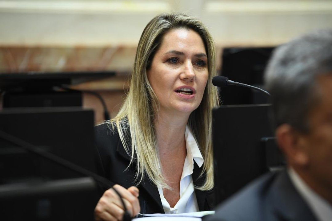 Losada se ganó una denuncia penal por su proyecto de “falsas denuncias”